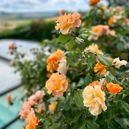 Nid D'Amour En Auvergne Avec Piscine Le Broc  Exterior foto