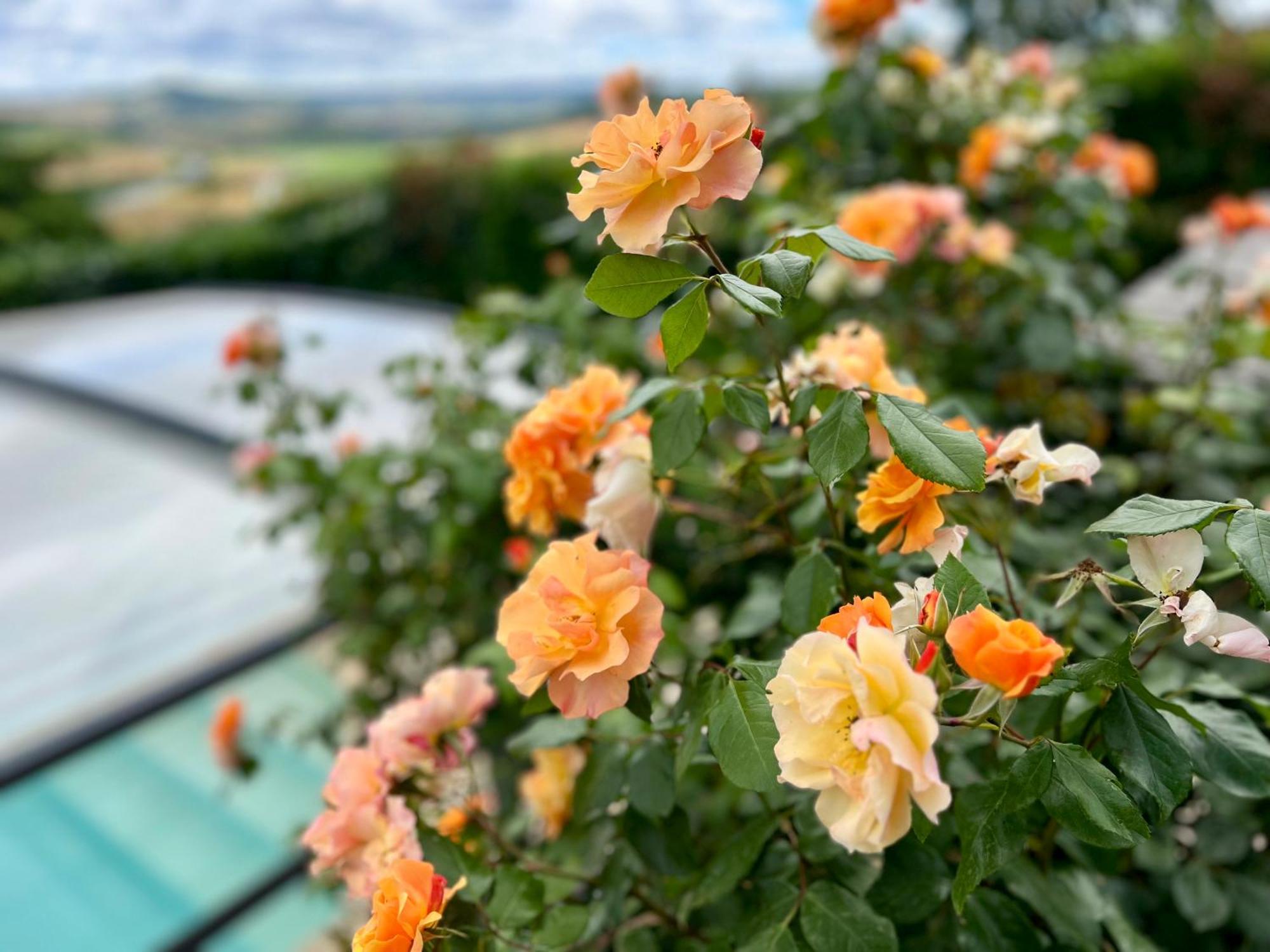 Nid D'amour En Auvergne Avec Piscine Ferienhaus